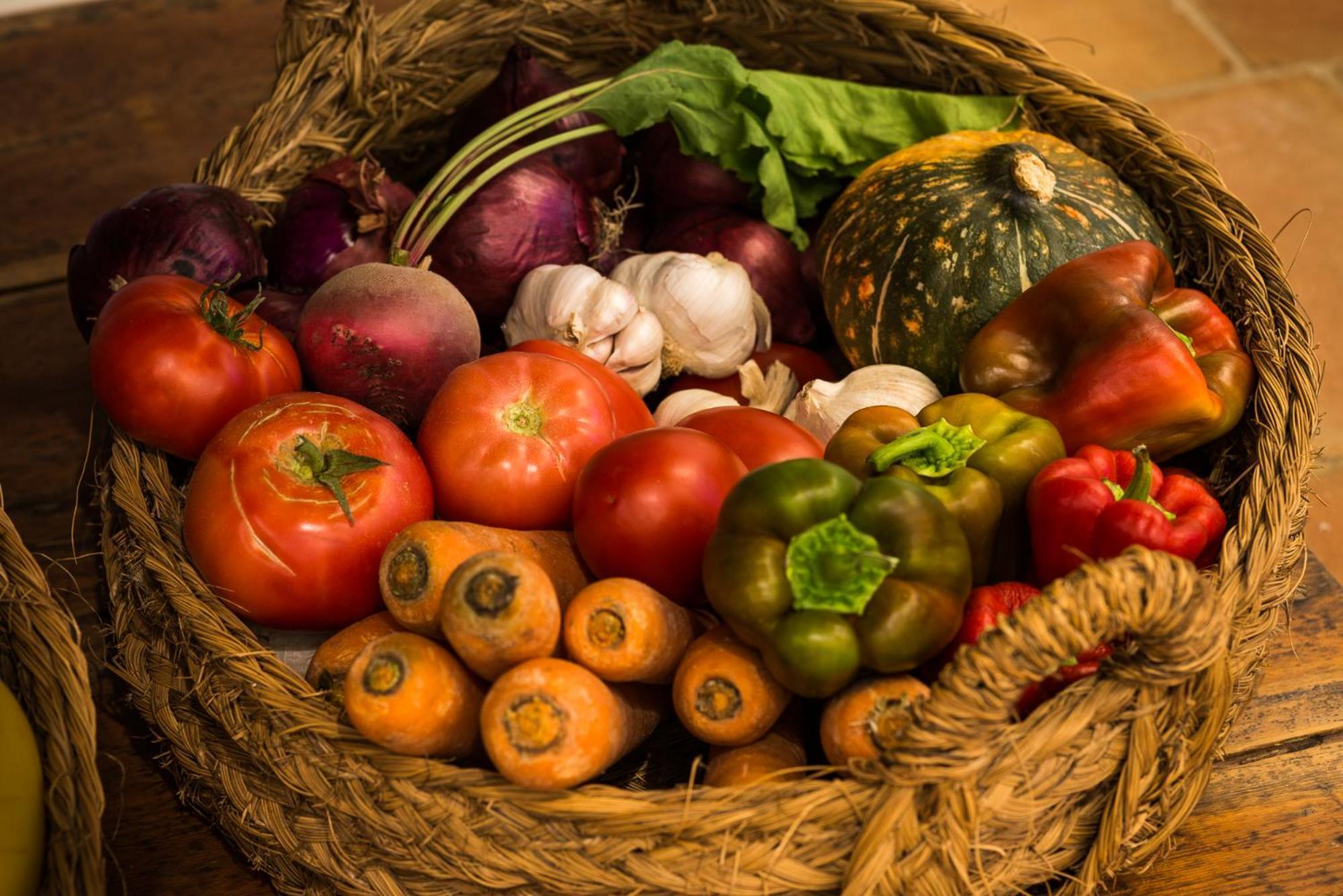Altanure Almatere - Food Forest Boutique Stay Тавира Экстерьер фото